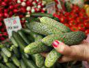 Польша поддержала санкции - Россия ответила овощным эмбарго