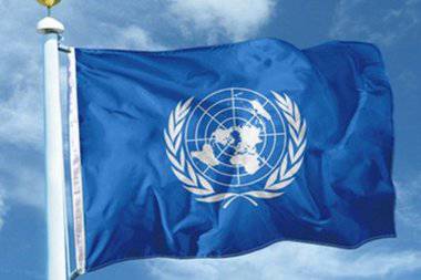 Петиция в ООН о признании независимости ДНР и ЛНР набрала 33 тысячи подписей