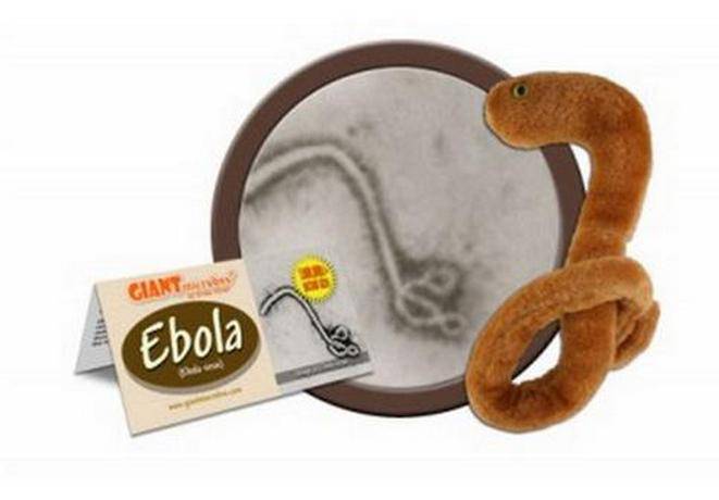 В США игрушка в виде вируса Эбола пользуется невероятным успехом