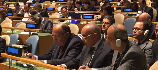 Египет вошел в Совет Безопасности ООН