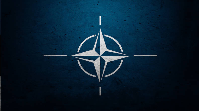 НАТО борется за «черное золото» ДАИШ
