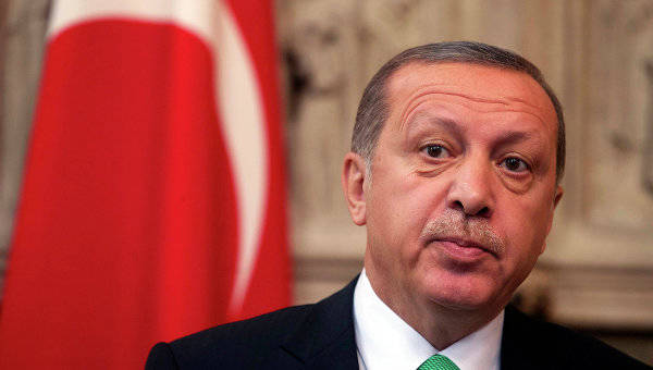 Эрдоган выступил против России среди постоянных членов СБ ООН
