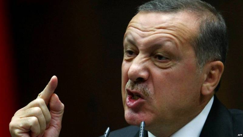Турция при Эрдогане превращается в террористическое государство