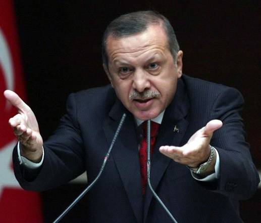 Эрдоган: Запад больше думает о геях и черепахах, чем о сирийцах