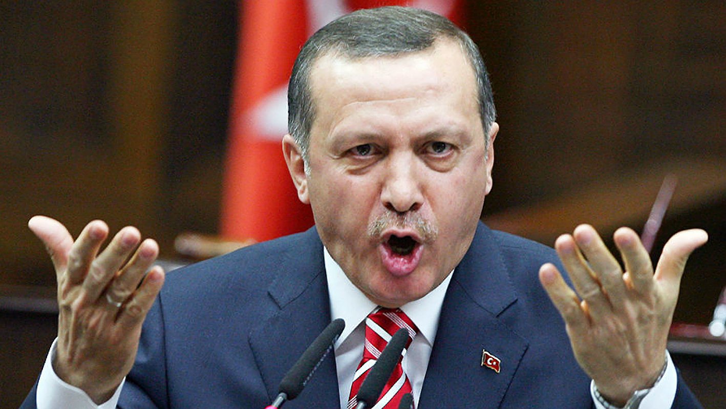 Эрдоган хочет проверить кровь немецких депутатов