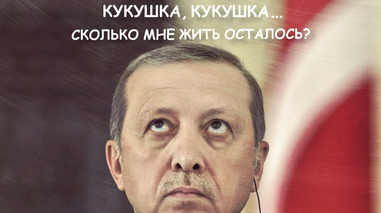 Непослушный султан будет наказан: Вашингтон планирует свержение Эрдогана