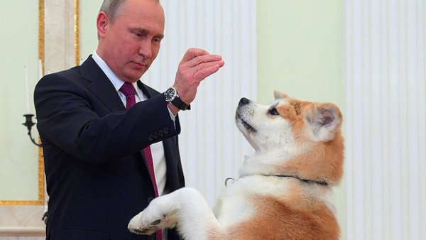 Путин показал свою Мечту