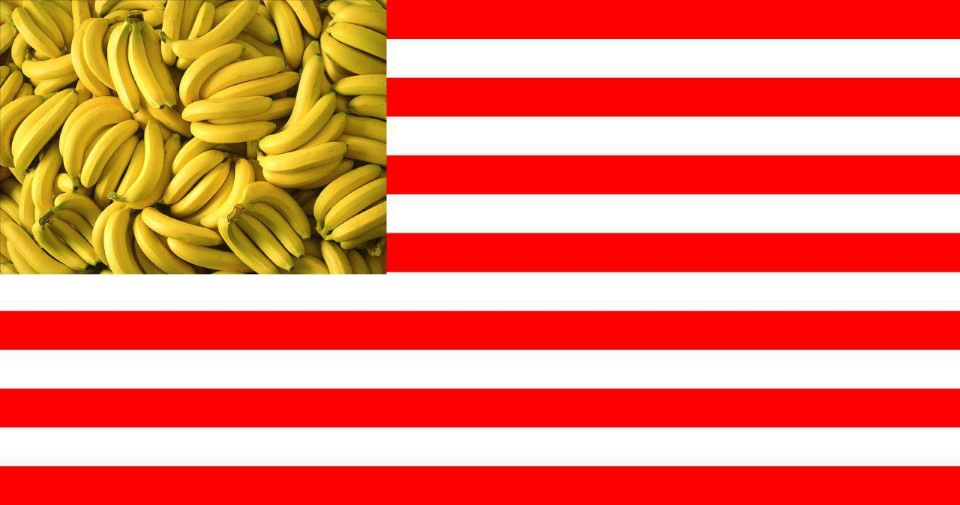 ЦРУ признало, что США – банановая республика