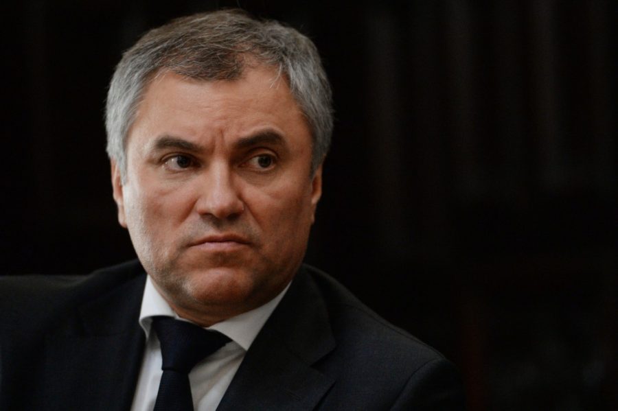 Володин сделал замечание депутату за «переход на личности»