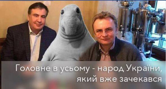Вся надежда на Ждуна: Саакашвили поглумился над украинцами