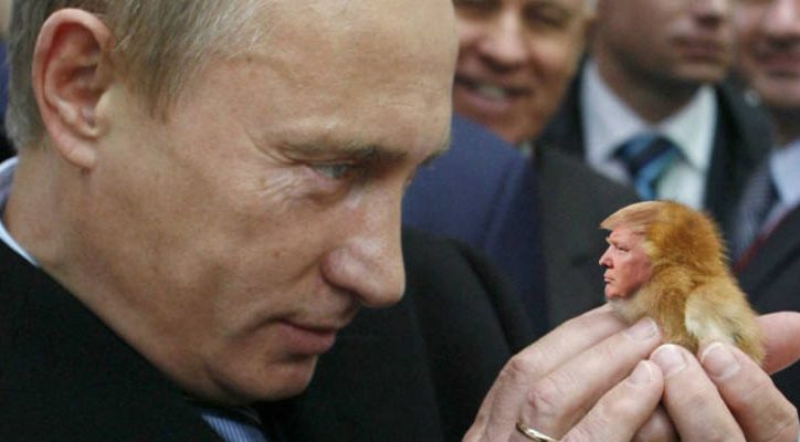 Зачем Трамп звонил Путину: о чем они договорились и что это значит?