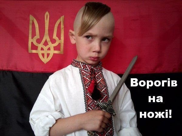 Насильно мил не будешь: в школах Украины учат любить фашизм