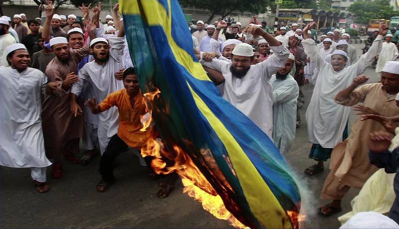 Шведские власти не справляются: мигранты ставят страну под удар