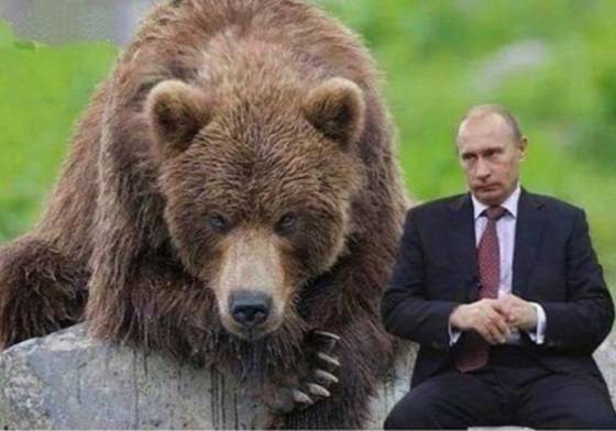 «Диктатор» и медведи: «плохая» Россия в украинских СМИ. ТОП-5 дня