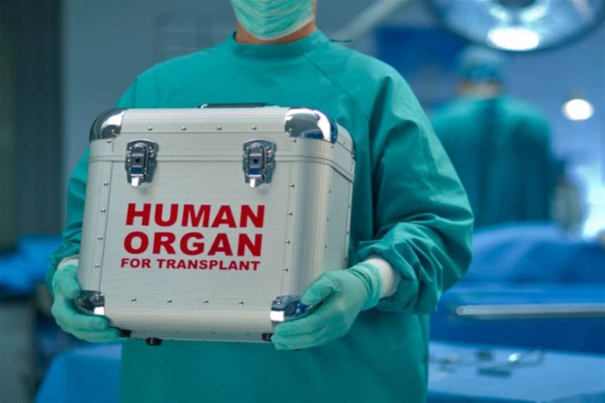 На Украине опасаются «побочных эффектов» закона о трансплантации