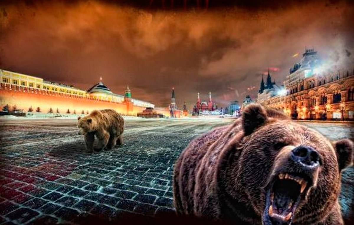 Русского медведя придумали русофобы