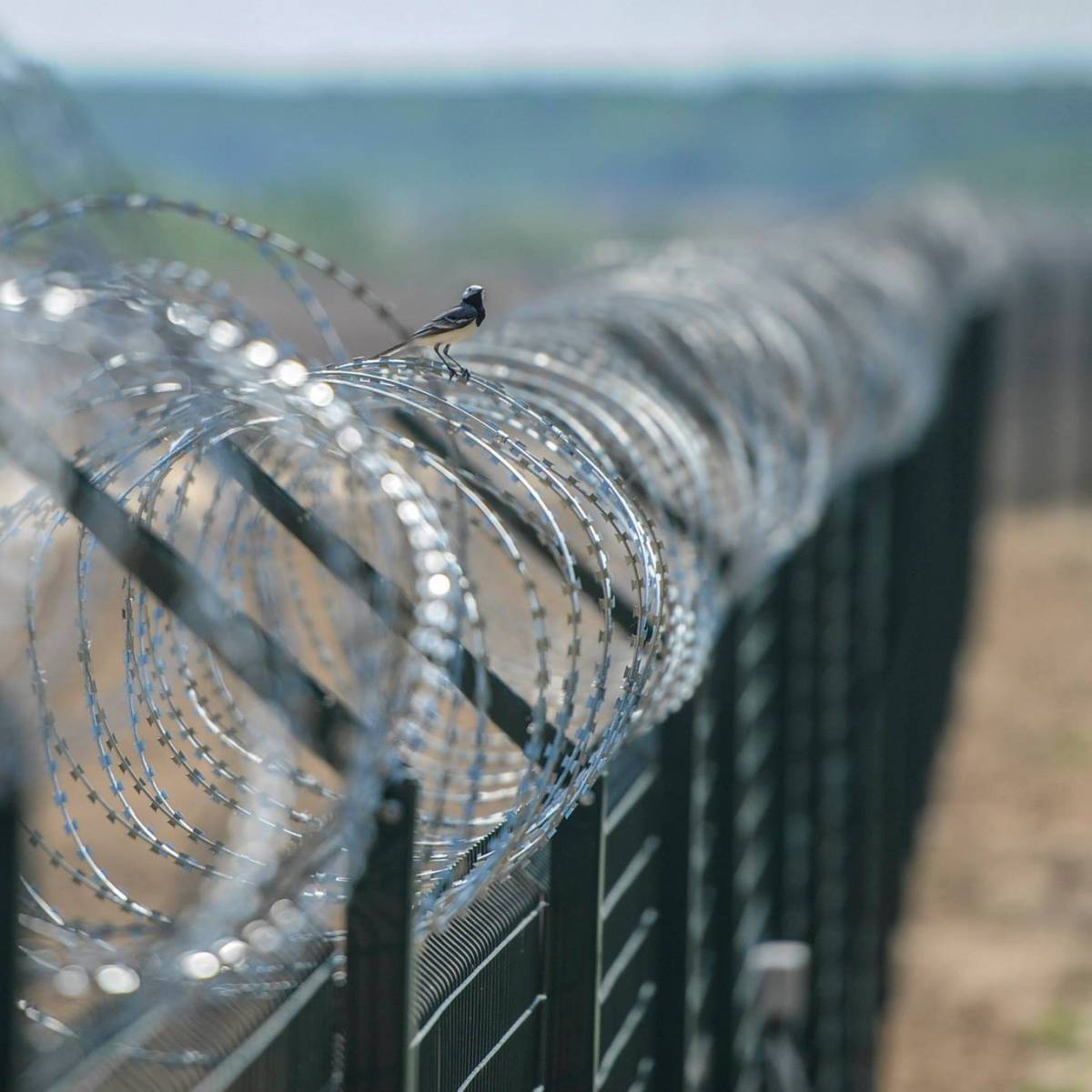 В Киеве заявили о планах строительства стены на границе с РФ