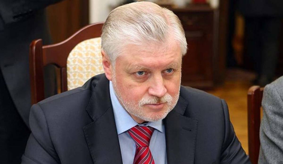 Миронов настаивает, что РФ должна взять Донбасс под свое покровительство