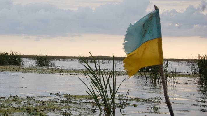 Запрос в Венецианскую комиссию показал политический провал Украины