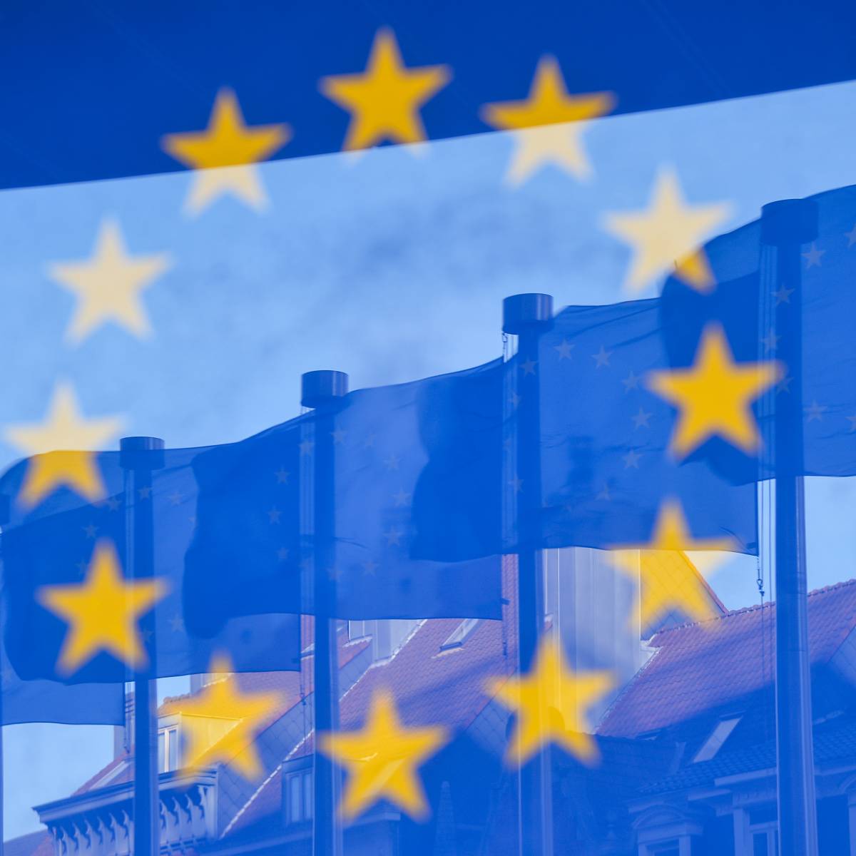 ЕС потребовал освобождения Колесниковой и Знака