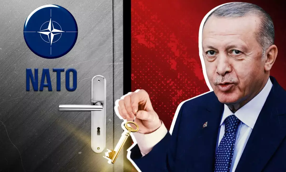 Боязнь раздела: названа истинная причина ворчания Эрдогана в адрес НАТО