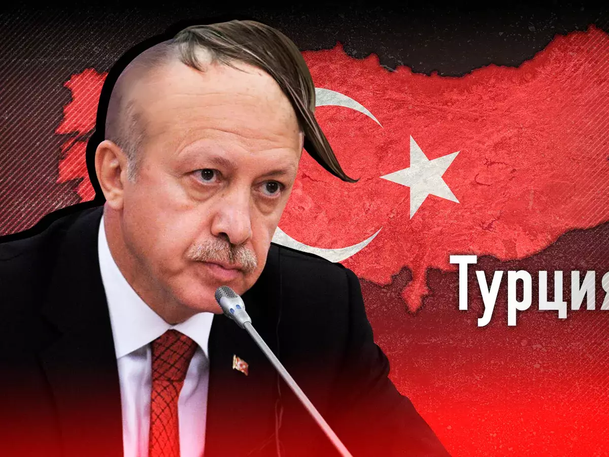 Януковичезация Эрдогана: Запад использует против Турции украинский сценарий