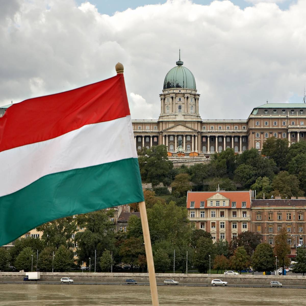 Американцы захотели в пух и прах рассорить Киев с Венгрией из-за «Дружбы»