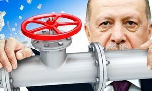 Эрдоган закручивает гайки