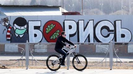 Правда и вымысел о коронавирусе: Россиян спасут котики? Правда и вымысел о коронавирусе: Россиян спасут котики?