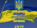 Выборы президента Украины противоречат действующей Конституции Украины Выборы президента Украины противоречат действующей Конституции Украины