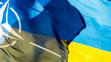 Украину в НАТО не берут Украину в НАТО не берут