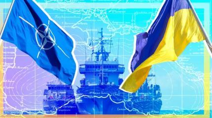В НАТО открестились от Украины: Киев не считают сильным союзником В НАТО открестились от Украины: Киев не считают сильным союзником