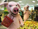 "Хрюши против": три года на передовой контроля продуктов