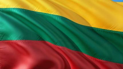 Литовцы устали от несостоятельности правительства Литовцы устали от несостоятельности правительства