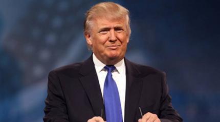 Однопартийцы лишили Трампа и Клинтон победы в двух штатах Однопартийцы лишили Трампа и Клинтон победы в двух штатах