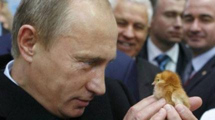 Германия: «Путин задушил свободу слова и повелевает птицами» Германия: «Путин задушил свободу слова и повелевает птицами»
