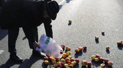 Польша хочет спасти Россию от голода