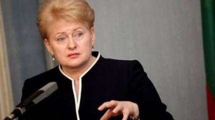 Президент Литвы назвала Россию «террористическим государством» Президент Литвы назвала Россию «террористическим государством»
