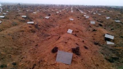 Жуткая тайна Одессы Жуткая тайна Одессы