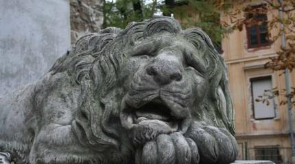 Битва за Львов Киевом проиграна изначально