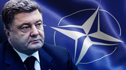Зрада: Порошенко не дадут выступить на саммите НАТО Зрада: Порошенко не дадут выступить на саммите НАТО