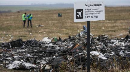 Нидерланды намерены установить всю правду о крушении MH17 на Донбассе