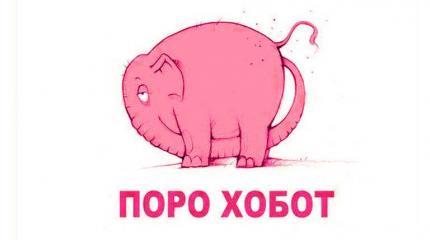 Порохо-бот Порохо-бот