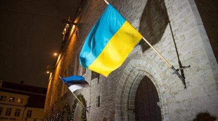 Эстония и Украина встретились обсудить коронавирус, но говорили только о РФ Эстония и Украина встретились обсудить коронавирус, но говорили только о РФ