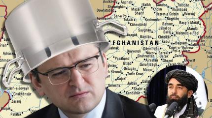 Украина: «переворот» Ахметова и бараны у стен Верховной Рады Украина: «переворот» Ахметова и бараны у стен Верховной Рады