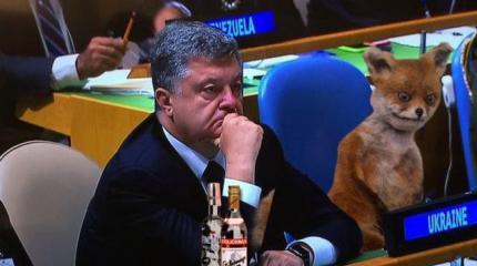 Старая дурь: свежий план Порошенко для Донбасса Старая дурь: свежий план Порошенко для Донбасса