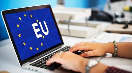 На сайте Европарламента появилась петиция против дискриминации россиян На сайте Европарламента появилась петиция против дискриминации россиян