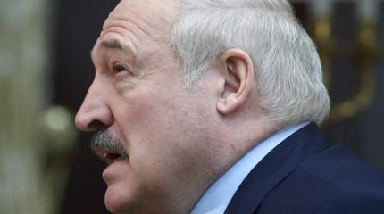 Лукашенко: Мы защищаем свою страну. Нас что, за это санкциями по голове?