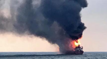 Босфорский инцидент: Виляющий собакой хвост «потужно» ударил по ЕС