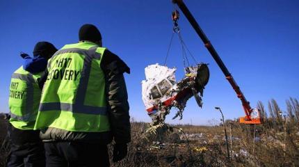 Главный очевидец гибели рейса MH17 может оказаться в руках России Главный очевидец гибели рейса MH17 может оказаться в руках России